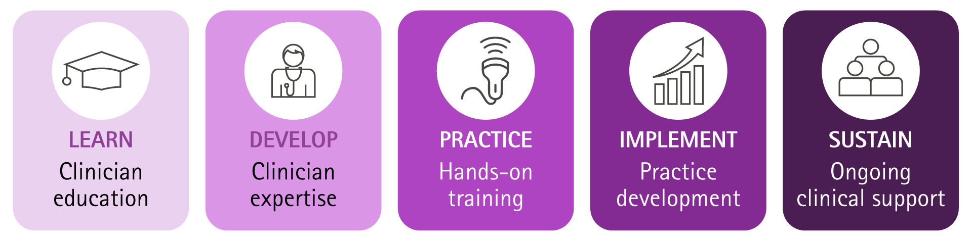 Graphic showing a five-step regional anesthesia education pathway with icons and labels for Learn (clinician education), Develop (clinician expertise), Practice (hands-on training), Implement (practice development) and Sustain (ongoing clinical support).