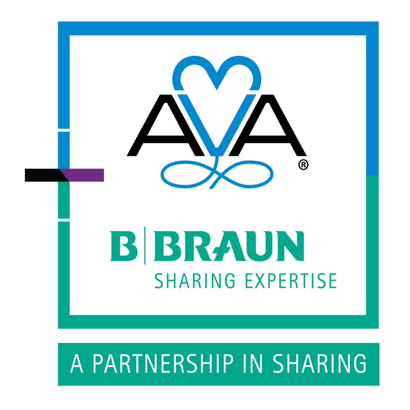 AVA, B. Braun Partnership Continues to Raise Standards for PIV ...